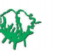 WACOT Limited logo