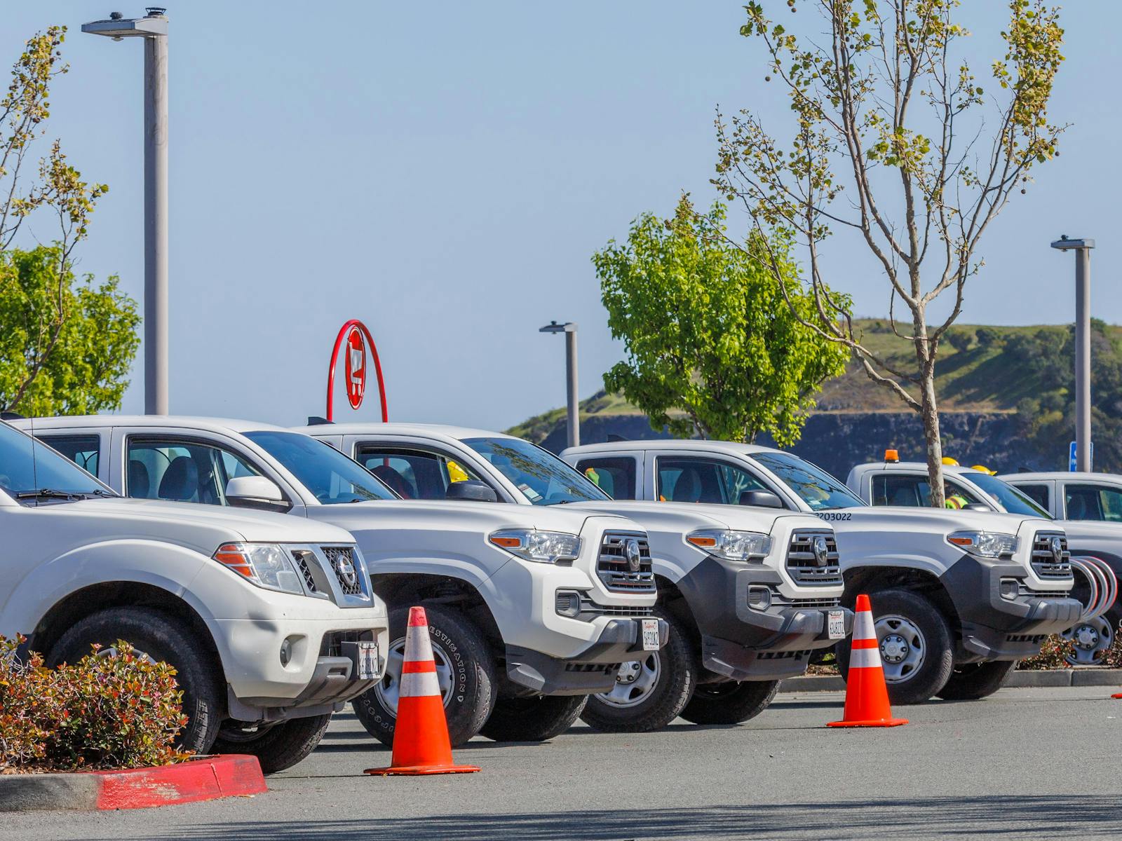 Managed fleet vehicles lined up for operations